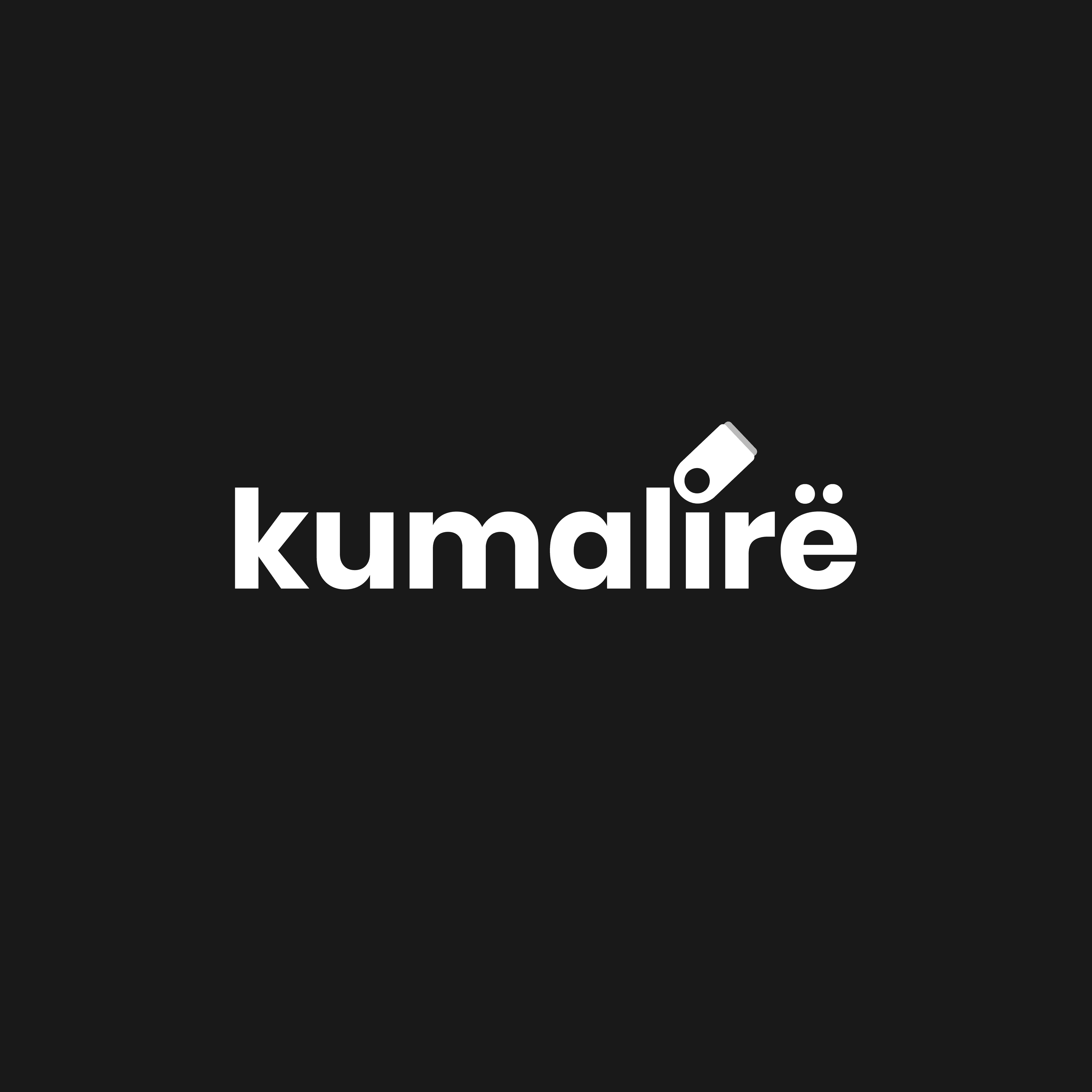 Branding Visual 2