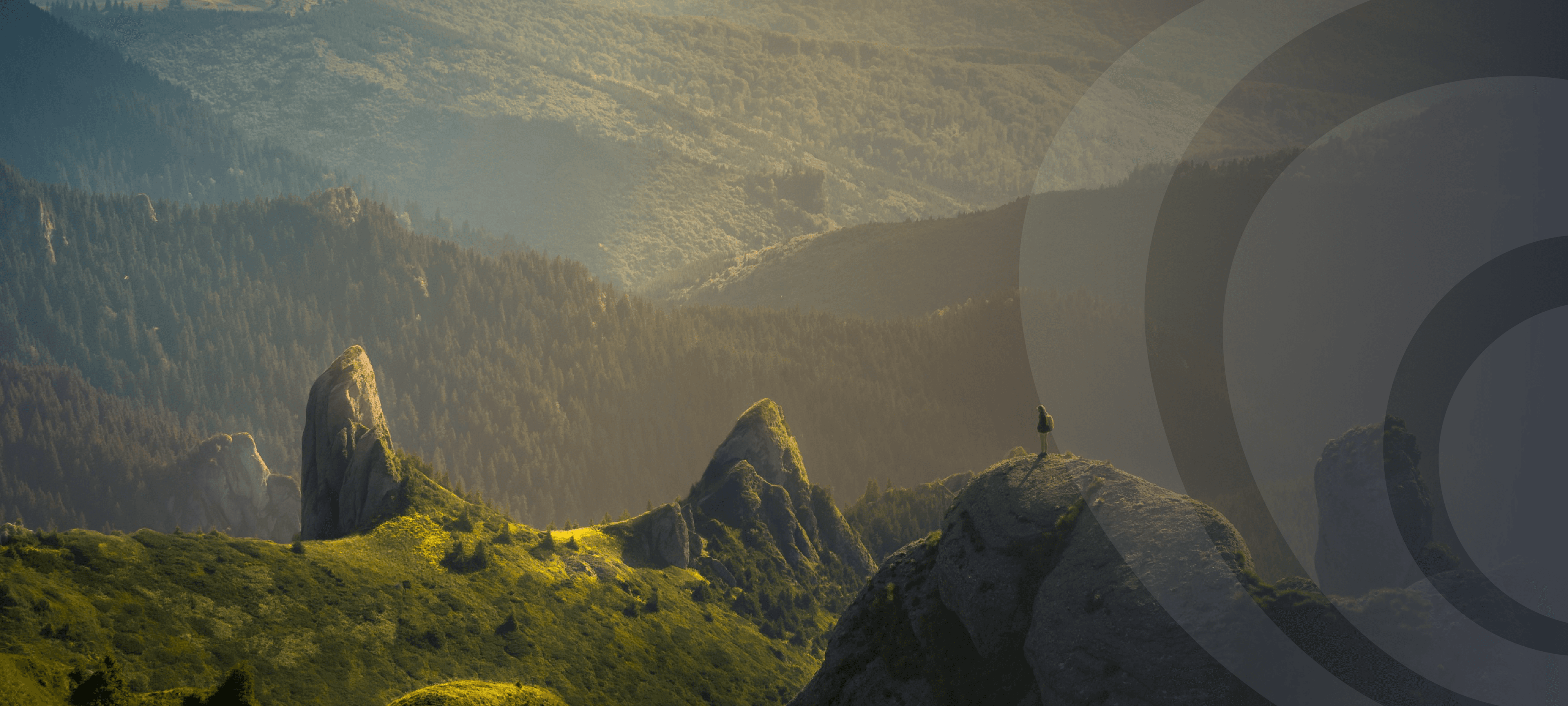 Digital Presence Growth Strategy Banner